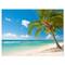 Designart - Palm tree over white sand - Landscapes Sea & Shore Photographic on wrapped Canvas